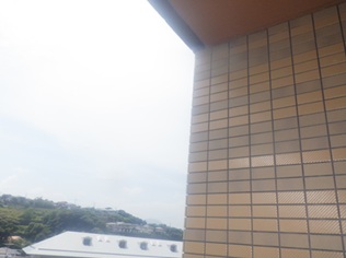 鳩駆除　嘉麻市