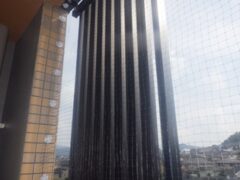 鳩駆除　嘉麻市