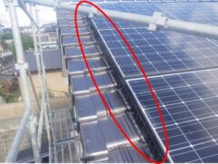 鳩駆除　嘉穂郡