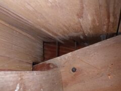 コウモリ駆除　神崎市