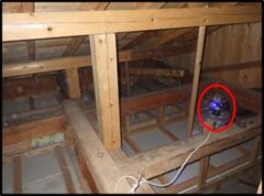 イタチ駆除　神崎市