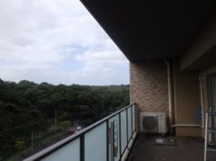 鳩駆除　春日市