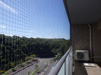 鳩駆除　春日市