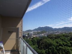 鳩駆除　春日市