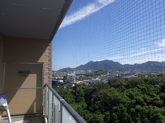 鳩駆除　春日市
