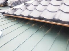イタチ駆除　粕屋郡