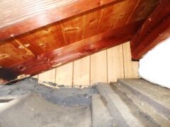 イタチ駆除　粕屋郡