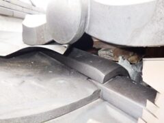 イタチ駆除　粕屋郡