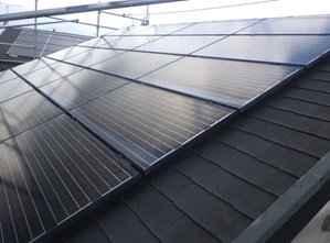 鳩駆除　古賀市