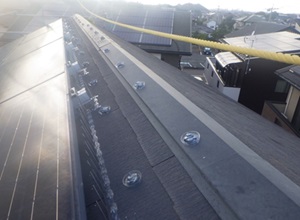 鳩駆除　古賀市