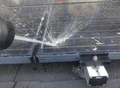 鳩駆除　古賀市