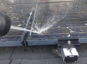 鳩駆除　古賀市