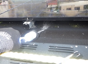 鳩駆除　古賀市