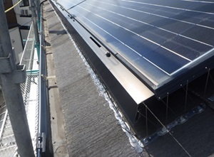 鳩駆除　古賀市