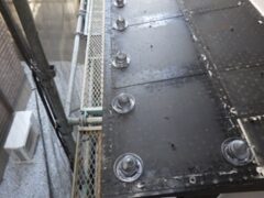 鳩駆除　鞍手郡