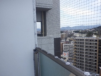 鳩駆除　京都郡
