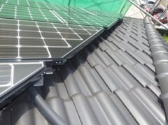 鳩駆除　美祢市