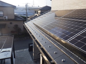鳩駆除 長門市