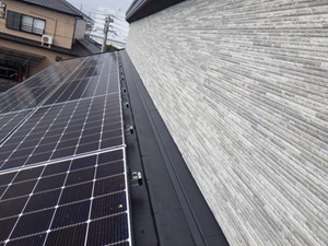 鳩駆除 長門市
