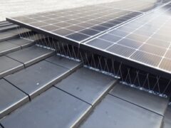 鳩駆除　長門市