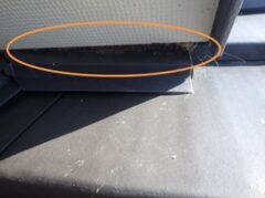 鳩駆除　中津市