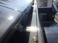 鳩駆除　中津市