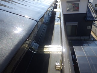 鳩駆除 中津市
