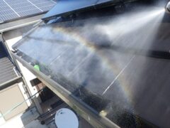 鳩駆除　中津市