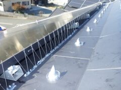 鳩駆除　中津市