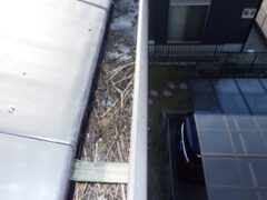 鳩駆除　中津市