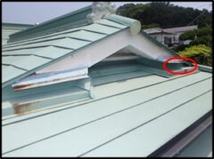 イタチ駆除　小野田市