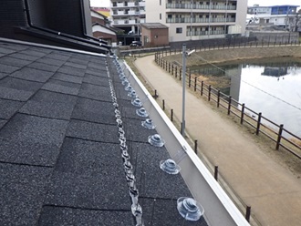 鳩駆除　小郡市