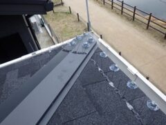 鳩駆除　小郡市