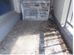 鳩駆除　遠賀郡