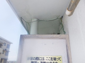 鳩駆除　遠賀郡