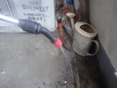 鳩駆除　遠賀郡