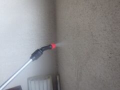 鳩駆除　遠賀郡