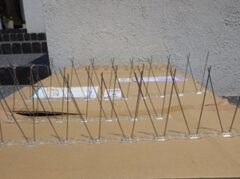 鳩駆除　小野田市