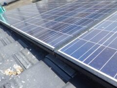 鳩駆除　小野田市