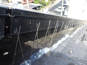 鳩駆除　小野田市
