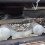 【大野城市】鳩駆除の事例紹介と料金、費用相場について