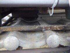 鳩駆除　大野城市