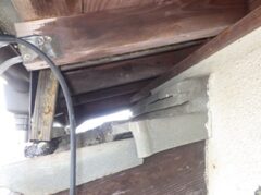 鳩駆除　大野城市