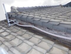 鳩駆除　大野城市