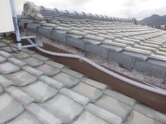 鳩駆除　大野城市