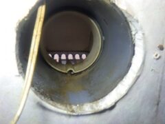 コウモリ駆除　佐賀市