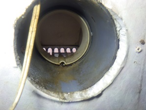 コウモリ駆除 佐賀市