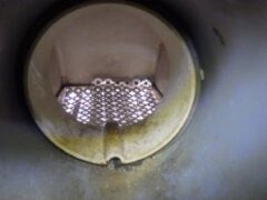 コウモリ駆除　佐賀市