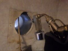 コウモリ駆除　佐賀市