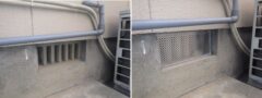 イタチ駆除　佐賀市